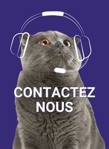 Contactez-nous