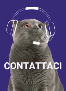 Contattaci