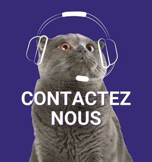 Contactez-nous