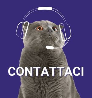 Contattaci