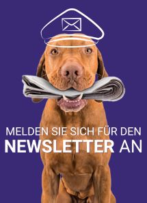 Melden Sie sich für unseren Newsletter an