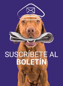 Suscríbete a nuestro boletín